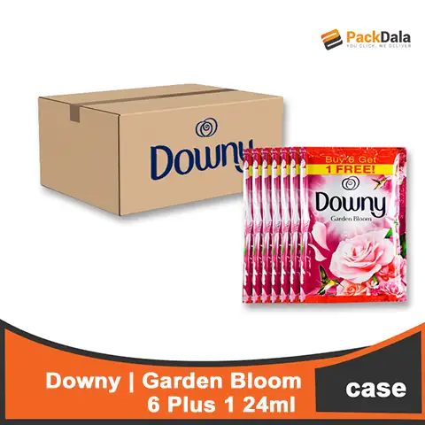 Picture of Downy Garden Bloom 24ml 6plus1 x 60 CASE